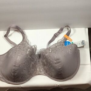 Playtex Love my Curves Bra in Light Purple